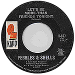 pebbles & shells